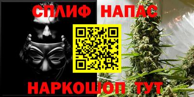 мяу мяу мука Будённовск