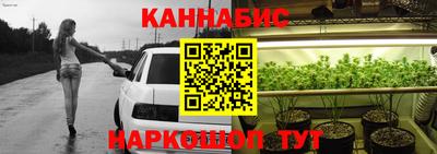 мяу мяу мука Будённовск