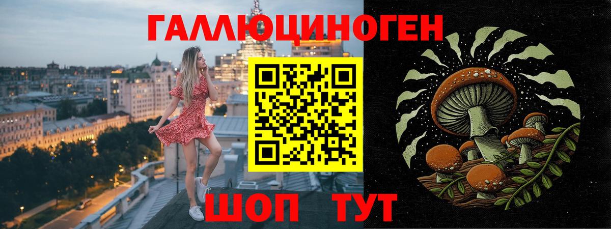 Псилоцибиновые грибы прущие грибы Коркино