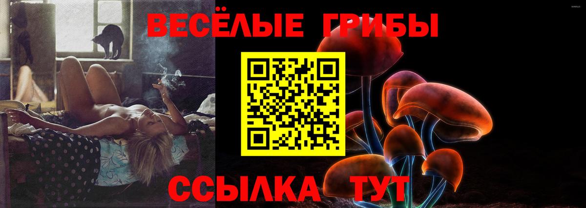 Галлюциногенные грибы Psilocybine cubensis  Вход с VPN  Коркино  Галлюциногенные грибы мухоморы 